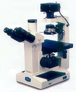 microscope_in834.jpg (11428 octets)