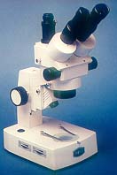 microscope_stereozooms.jpg (9827 octets)